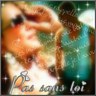 son album pas sans toi